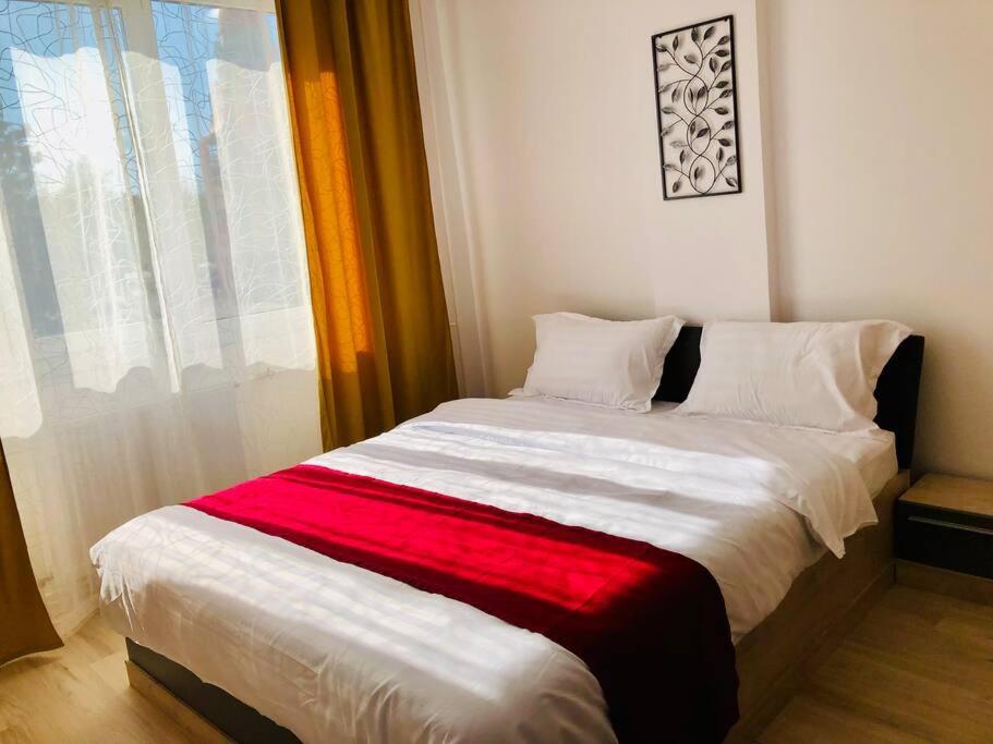 Joy City Stay Victoriei 7G-9 Timişoara Eksteriør billede
